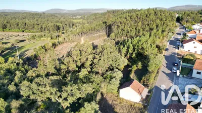 Fotografia 3 de Terreno urbano de 2400 m² em Pombal