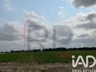 Terrain agricole   à Pegões