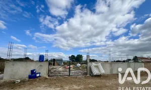 Terreno rústico  em Quinta do Anjo