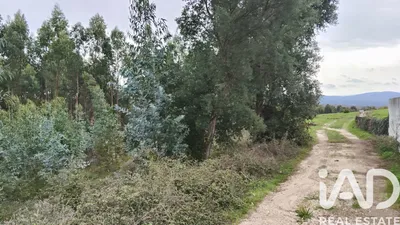 Fotografia 3 de Terreno rústico de 3880 m² em Graça , Pedrógão Grande