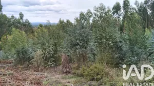 Farm land at Graça , Pedrógão Grande