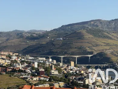 Mixed land at Peso da Régua
