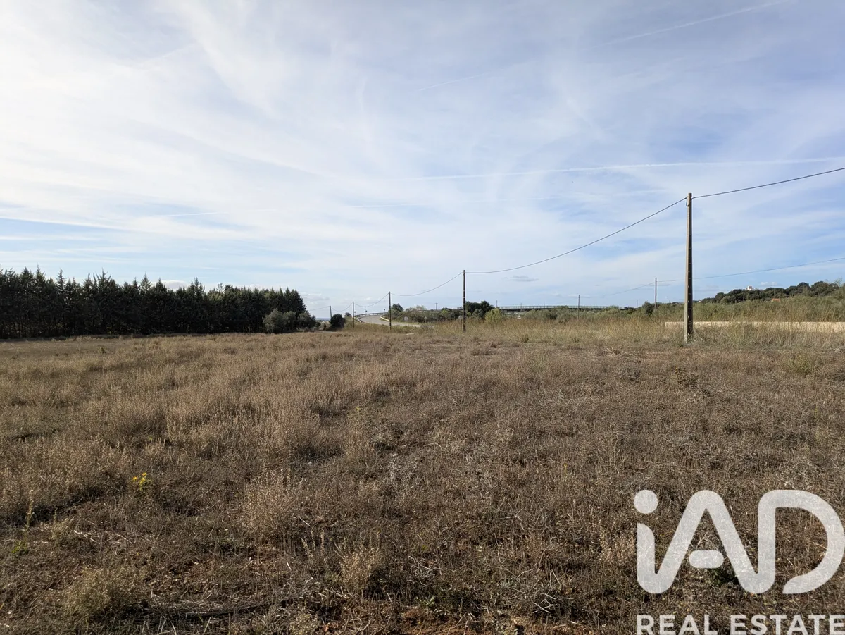 Terreno rústico de 9920 m² em Estremoz