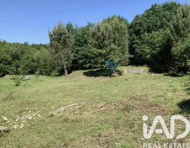 Farm land at Viana do castelo