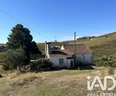 Farm in Canelas
