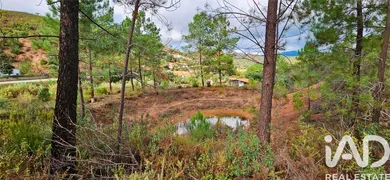 Terrain agricole à Mexilhoeira Grande