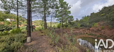 Fotografia 3 de Terreno rústico de 23 970 m² em Mexilhoeira Grande