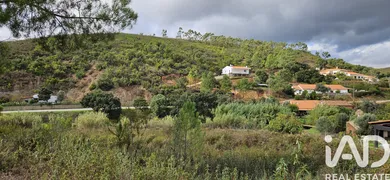 Farm land  in Mexilhoeira Grande