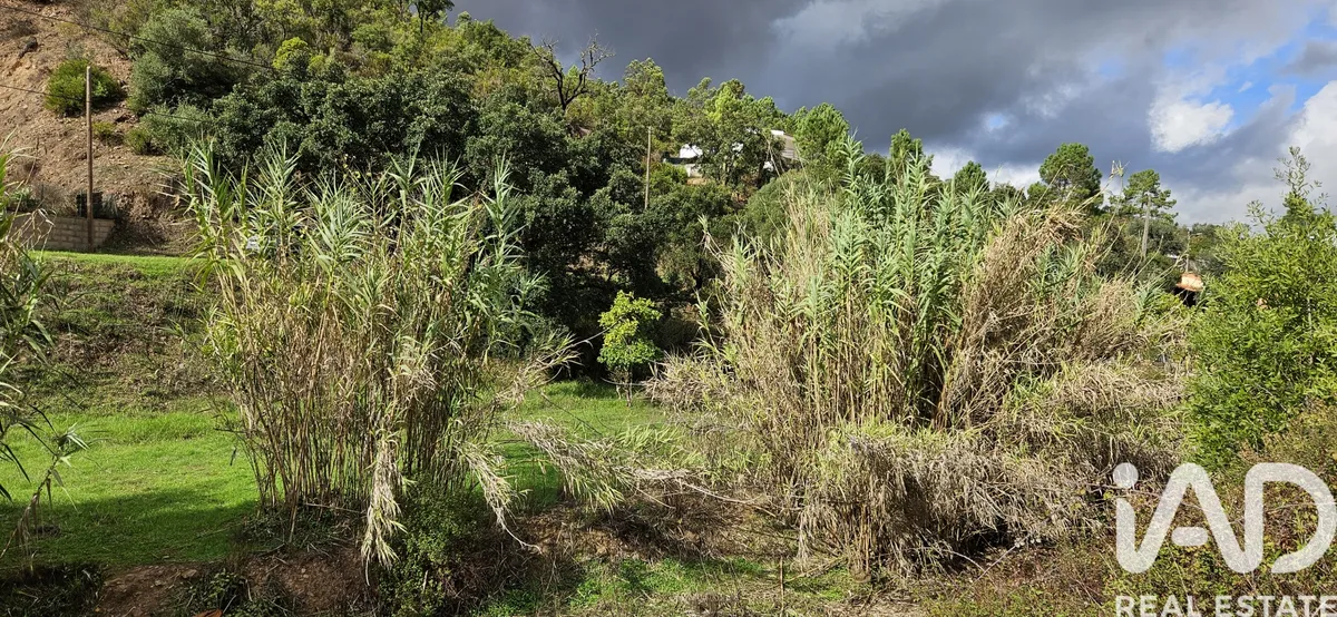 Terreno rústico de 23 970 m² em Mexilhoeira Grande