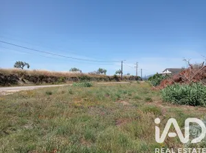 Farm land at Madalena