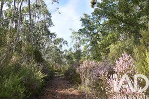 Farm land at Sabacheira