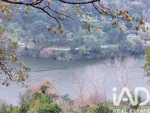 Mixed land at São Cristóvão de Nogueira