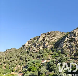 Quinta  em Idanha-a-Nova