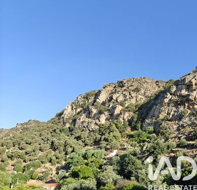 Quinta  em Idanha-a-Nova