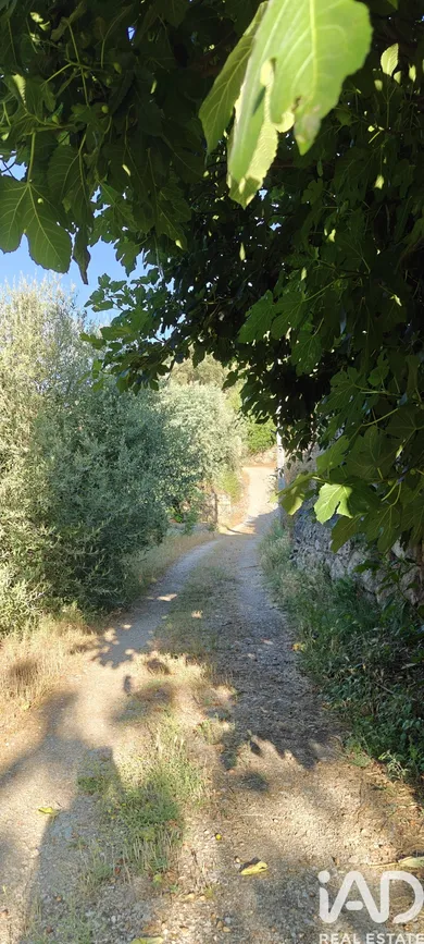 Farm  in Idanha-a-Nova