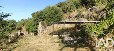 Farm  in Idanha-a-Nova