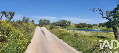 Herdade  em Ourique
