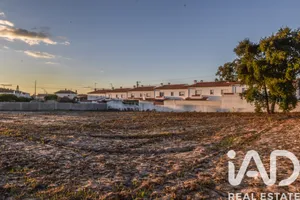 Terrain agricole   à Marinha Grande