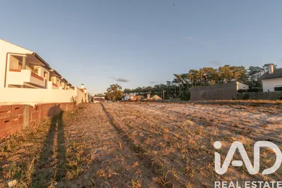 Fotografia 3 de Terreno rústico de 4256 m² em Marinha Grande