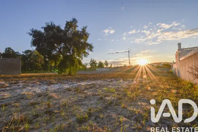 Terreno rústico  em Marinha Grande