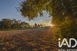 Terreno rústico  em Marinha Grande