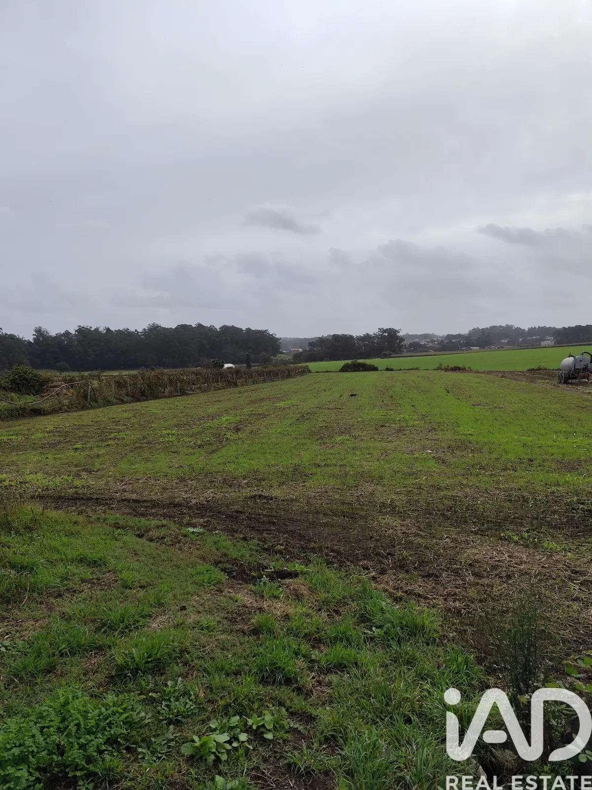 Terreno misto de 6200 m² em Cristelo