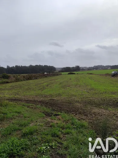 Mixed land at Cristelo