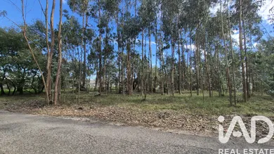 Building plot at Pedreiras