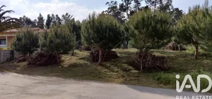 Farm land  at Carvide