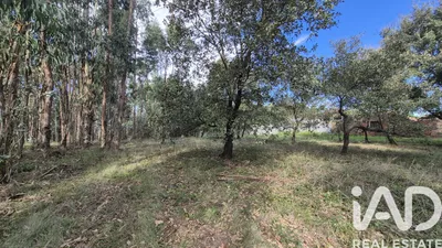 Fotografia 5 de Terreno de 7640 m² em Pedreiras