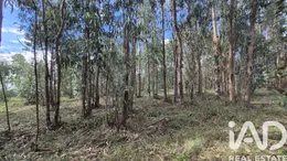 Terreno urbano  em Pedreiras