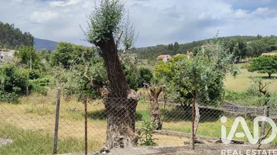 Casa/Moradia  em Álvares