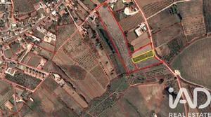 Farm land at Cadaval