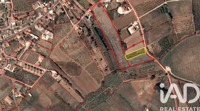 Terrain agricole à Cadaval