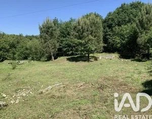 Mixed land at Viana do castelo