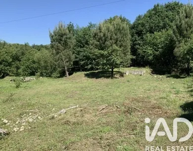 Mixed land at Viana do castelo