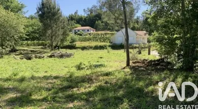 Mixed land at Viana do castelo