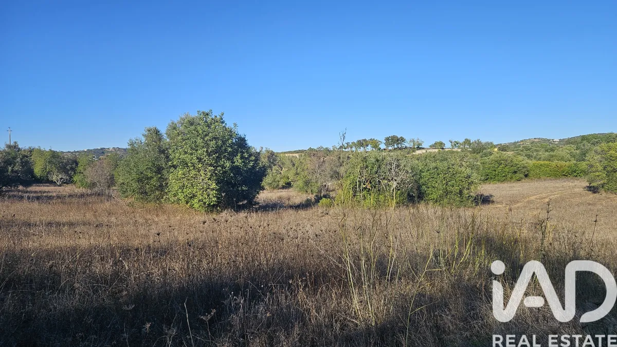 Terreno rústico de 14 880 m² em Santa Bárbara de Nexe