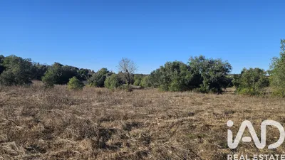 Fotografia 3 de Terreno rústico de 14 880 m² em Santa Bárbara de Nexe