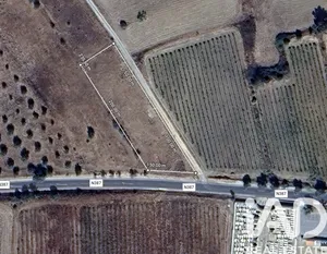 Terreno rústico em VILA DE FRADES