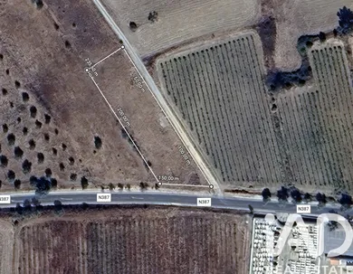 Terreno rústico  em VILA DE FRADES