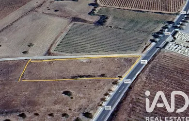 Farm land  in VILA DE FRADES