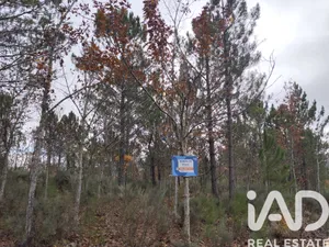 Terreno rústico  em Sabugal