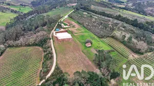 Rural farm  at Alvorninha