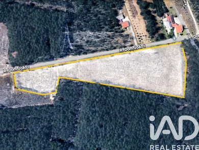 Farm land at Pataias