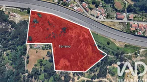 Farm land  at Milheirós