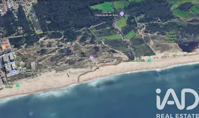 Building  at Árvore