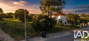 Mixed land  at São Gregório