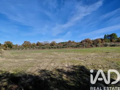 Quinta agrícola em Caria