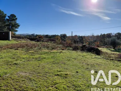 Quinta agrícola em Caria